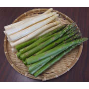 会津産生鮮アスパラガス 2色食べ比べセット