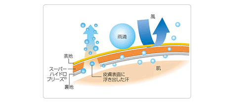 イメージ画像