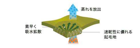 イメージ画像