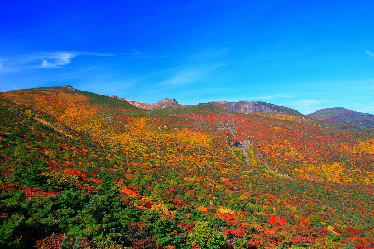 安達太良山を染め上げる紅葉