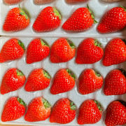 小竹いちご園（栃木県さくら市）