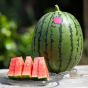 よしみ農園（鳥取県北栄町）