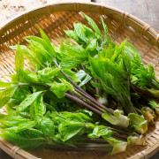 春の山菜・野菜