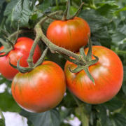 KEK岩瀬売店（茨城県桜川市）