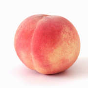 夏の果物 予約受付中！