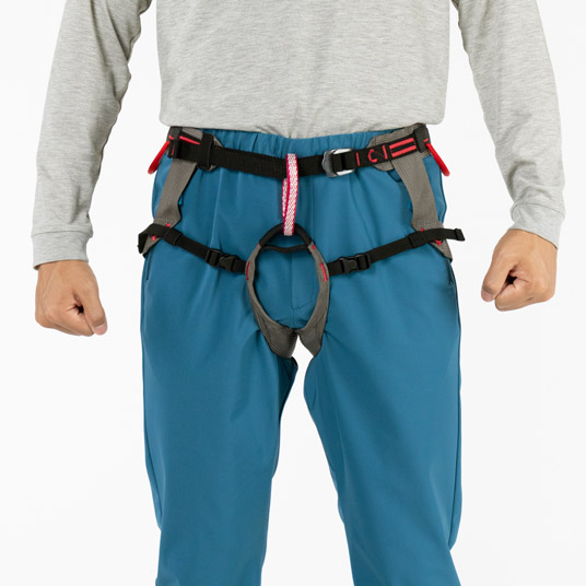 ハーネス着用例