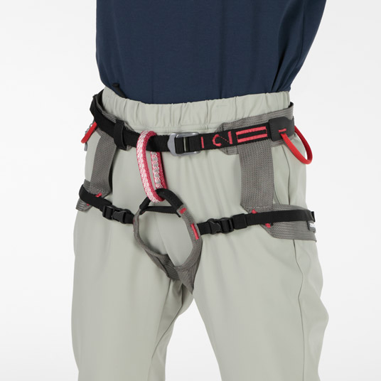 ハーネス着用例