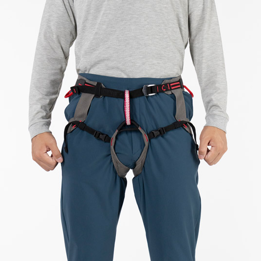 ハーネス着用例