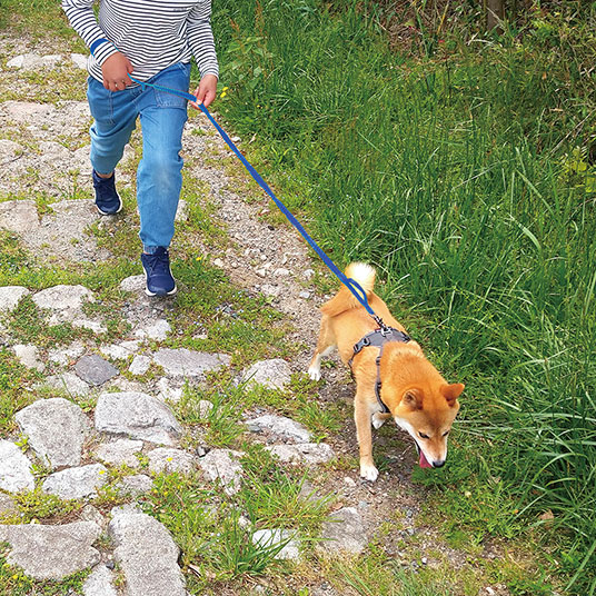 120～190cmまで伸び縮みします