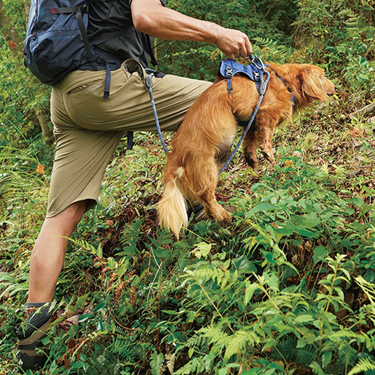 ハンドルをつかんで愛犬を優しく持ち上げられます（写真はSサイズ）