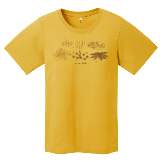 US ペアスキンコットン T Women's コケ イエロー