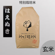 令和7年産　氷河米「はえぬき」玄米10kg【出荷時期：10月上旬より 順次】