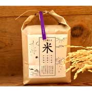 自然栽培イセヒカリ玄米 10kg