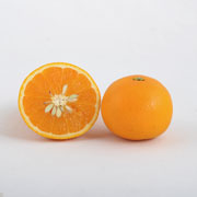 清見オレンジ　家庭用4kg