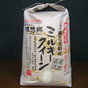 理想郷ミルキークイーン 玄米10kg（5kg×2袋）（千葉大学共同研究米）