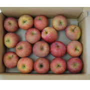 【訳あり・バラ詰め】雪室りんご小玉3㎏(15～18玉)