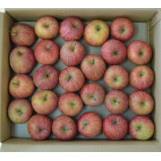 【訳あり・バラ詰め】雪室りんご小玉10㎏(50～56玉)　