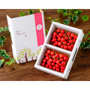 紅秀峰ばら詰め2L玉1kg(500g×2パック)（他品番との同時購入不可）【出荷時期：6月中旬頃より順次】