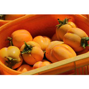柿農家「柿壺」西条柿 5kg（2L～3Lサイズ、24～28玉）【販売期間11月20日まで】