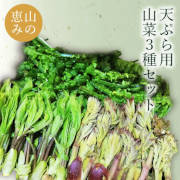 山形の山菜3種　約650ｇ【出荷時期：4月下旬より / 販売時期：5月10日まで】