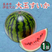 大玉すいか(長井市産)1個【出荷時期：7月中旬より / 販売時期：8月10日まで】