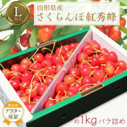 山形のさくらんぼ 紅秀峰 1kg バラ詰め「秀品」 (L玉以上)（他品番との同時注文不可）【出荷時期：6月中旬より / 販売時期