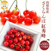 山形のさくらんぼ 紅秀峰500g バラ詰め「秀品」 (L玉以上)（他品番との同時注文不可）