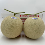 山形のアールスメロン大玉2個入り【出荷時期：8月下旬より順次】