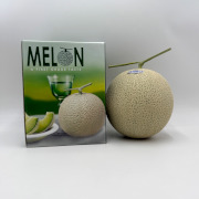 山形のアールスメロン大玉1個入り【出荷時期：8月下旬より順次】