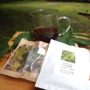 高野の森林のハーブティ 「KUROMOJI TEA」×「クロモジのための珈琲」