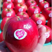 ピンクレディー®5kg箱（他商品との同時購入不可）