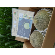 父の日リーフレット付き　赤肉メロン２玉（他品番との同時注文不可）【出荷時期：６月中旬より順次】