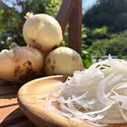 早採りサラダ玉ねぎ4kg+玉ねぎ麹1点【出荷時期：3月中旬より／販売期間：1月23日からから4月下旬まで】