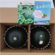 シャリッシャリ！濃厚な甘さ【黒小玉西瓜ひとりじめBonBonリッチ】2玉【出荷時期：7月中旬より / 販売時期：7月31日まで】