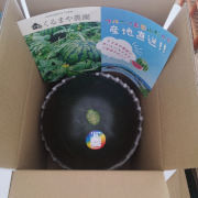 シャリッシャリ！濃厚な甘さ【黒小玉西瓜ひとりじめBonBonリッチ】１玉【出荷時期：7月中旬より / 販売時期：7月31日まで】