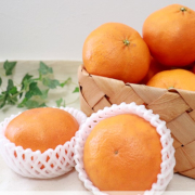 甘味ギュギュッと！はじけるプチプチ食感！[甘平]（かんぺい）家庭用750g（他品番との同時注文不可）【出荷時期:2月上旬頃より】