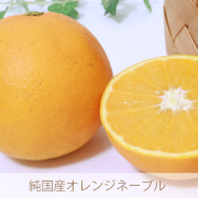完熟ネーブルオレンジ小粒ちゃん2㎏（他商品との同時注文不可）【出荷時期：3月上旬より順次】