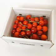 山形特産さくらんぼ「佐藤錦」秀 350g（L以上）【他品番との同時注文不可】【出荷時期:6月中旬より順次】