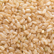 令和7年産 　須賀川の自然が育てたコシヒカリ玄米15kg（1回の注文上限20kgまで）