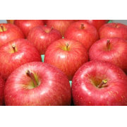 福島の美味しい林檎　サンふじ　3ｋｇ（8～12玉）(他商品との同時購入不可）