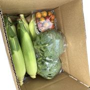 野菜詰め合わせ【出荷時期：7月下旬より / 販売時期：9月下旬まで】