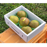 農薬節減 希少!! ずっしり 大玉 ラフランス 約2kg