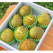 農薬節減 希少!! ずっしり 大玉 ラフランス 約3kg