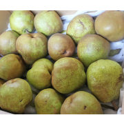 【訳あり】ラフランス家庭用５ｋｇ