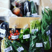 季節の野菜セット（Ｌサイズ）【出荷時期：8月上旬より / 販売時期：10月31日まで】