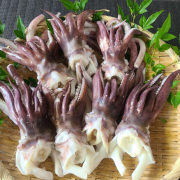 富山湾産　冷凍アオリイカゲソ(生）　2ハイ