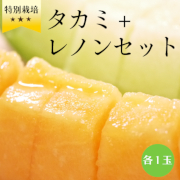 鰺ヶ沢産 特秀品 タカミ＋レノンＷセット2玉入 各1玉(約3kg)【出荷時期：7月下旬より / 販売時期：8月20日まで】