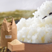 【特別栽培】青森県鰺ヶ沢産「まっしぐら」 白米5kg【出荷時期：10月中旬より 】