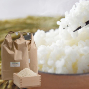 【特別栽培】青森県鰺ヶ沢産「まっしぐら」 白米10kg【出荷時期：10月中旬より】