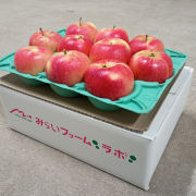 光センサー選果糖度13度以上　青森県産サンフジ小玉3㎏家庭用【出荷時期：12月上旬より 順次】